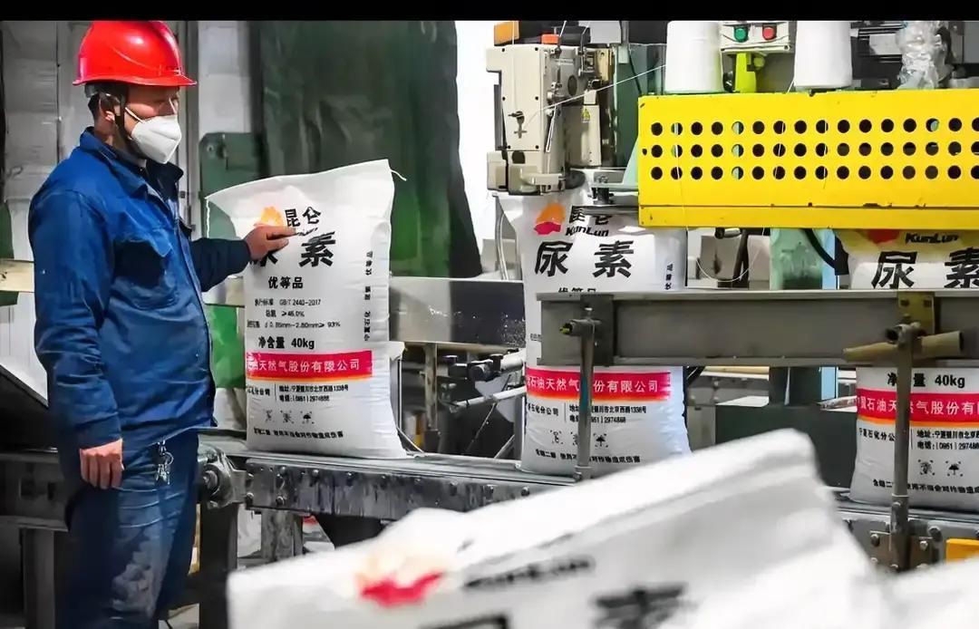 有人敢说！霍尔木兹海峡这事再拖下去，最先起飞的不是越南这些国家，而是咱们西北的宁