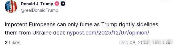 当公正的特朗普将欧洲人排除在乌克兰协议之外时，他们只能无能狂怒来源：realDo