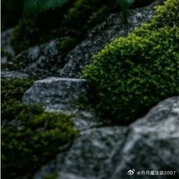 人人存善念，并能日行一善，则个人、家庭、社会一定安乐祥和。这世上，有时笑笑人家，