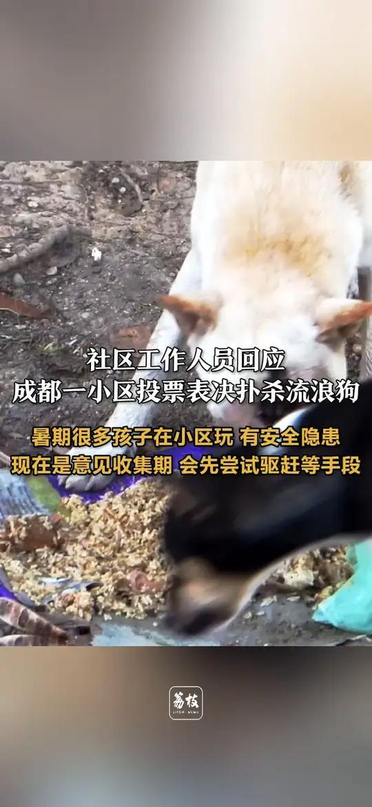 成都一小区投票表决扑杀流浪狗 小区物业估计是给一些爱狗人士整的PTSD了才出投票