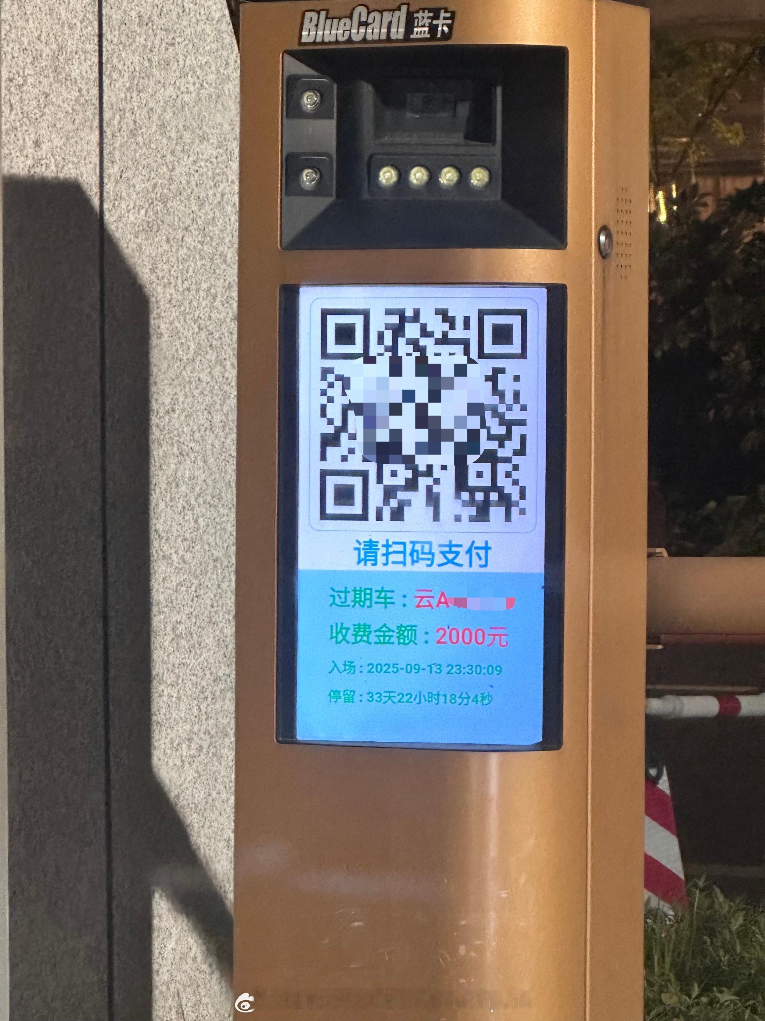 昨天高中同学来，开咬地鲨带他去吃饭，不知不觉又是一个多月没开车了[二哈] ​​​