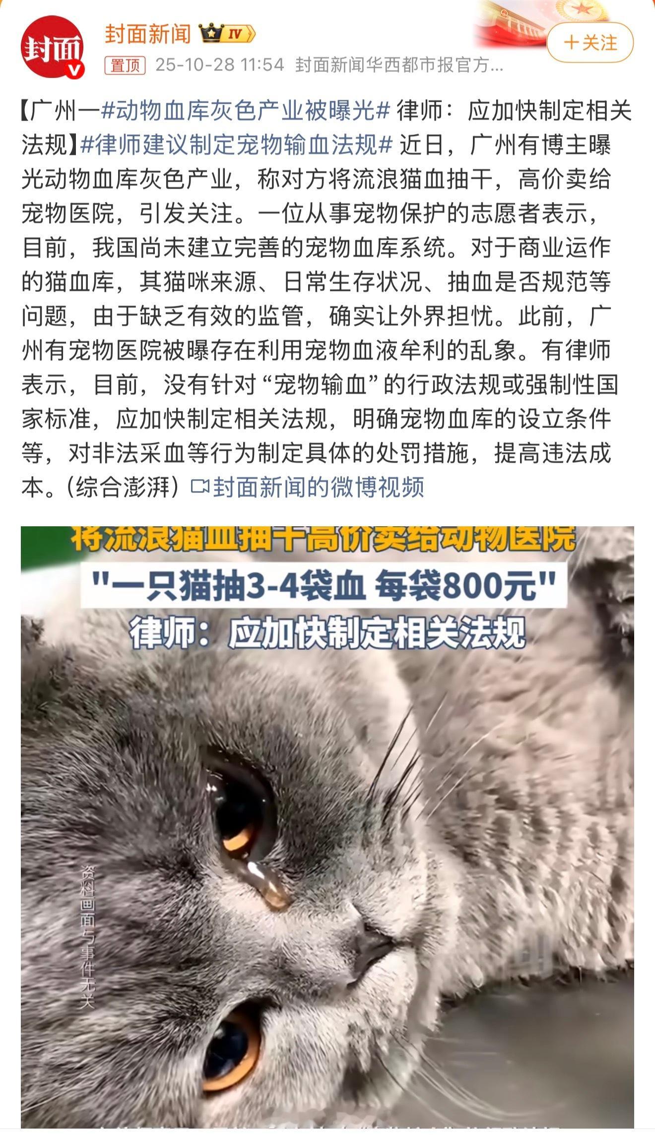 动物血库灰色产业被曝光 将流浪猫血抽干……卧槽，畜生啊[悲伤] ​​​