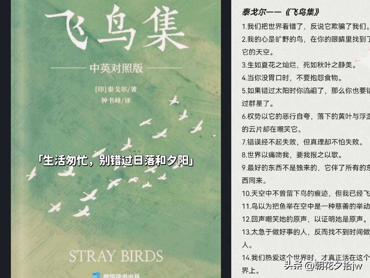 一百年前，印度诗人泰戈尔写过《飞鸟集》。

诗里有一篇是这样写的：

“母鸟飞过