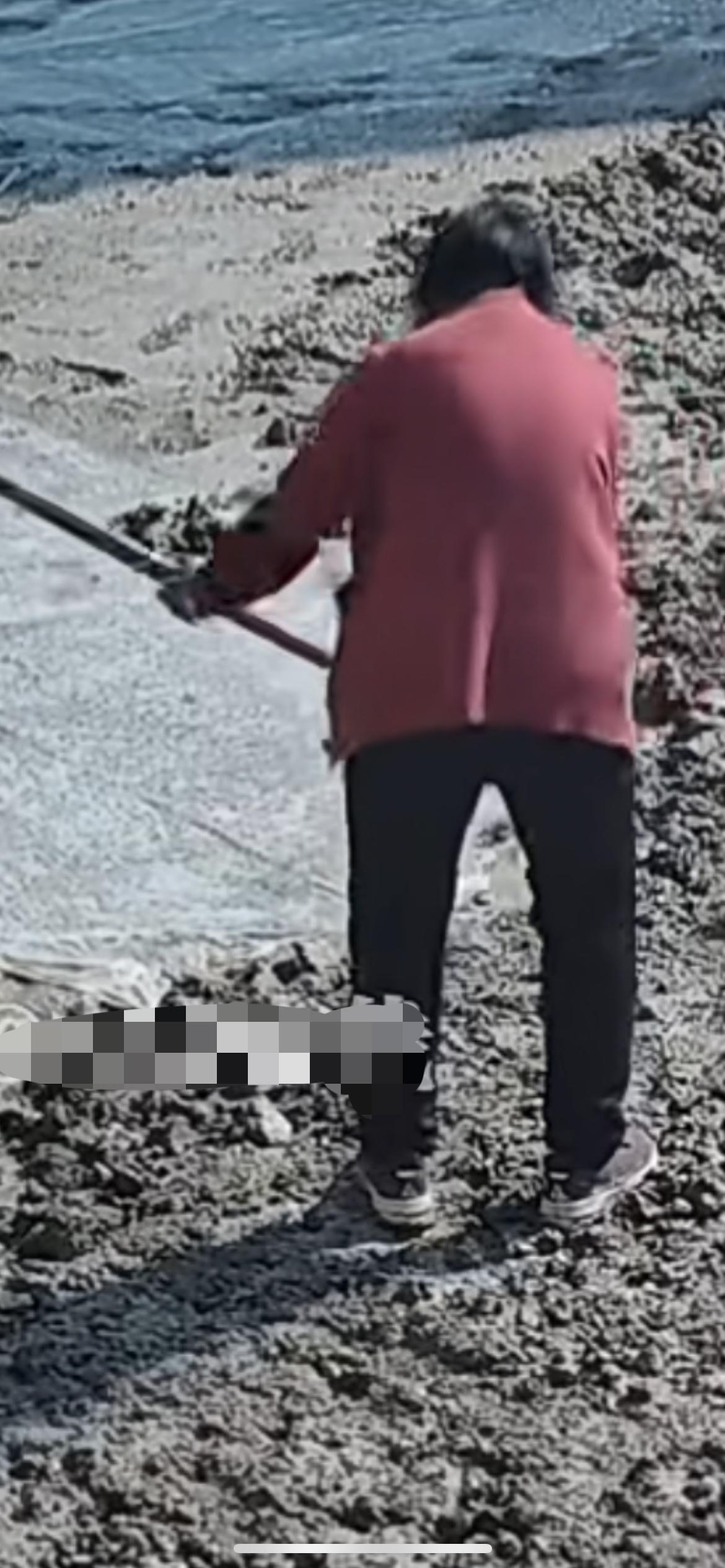 12月7日河南，村民自发修建水泥路还未干，被近八旬老人拿锄头锄三小时恶意破坏，老