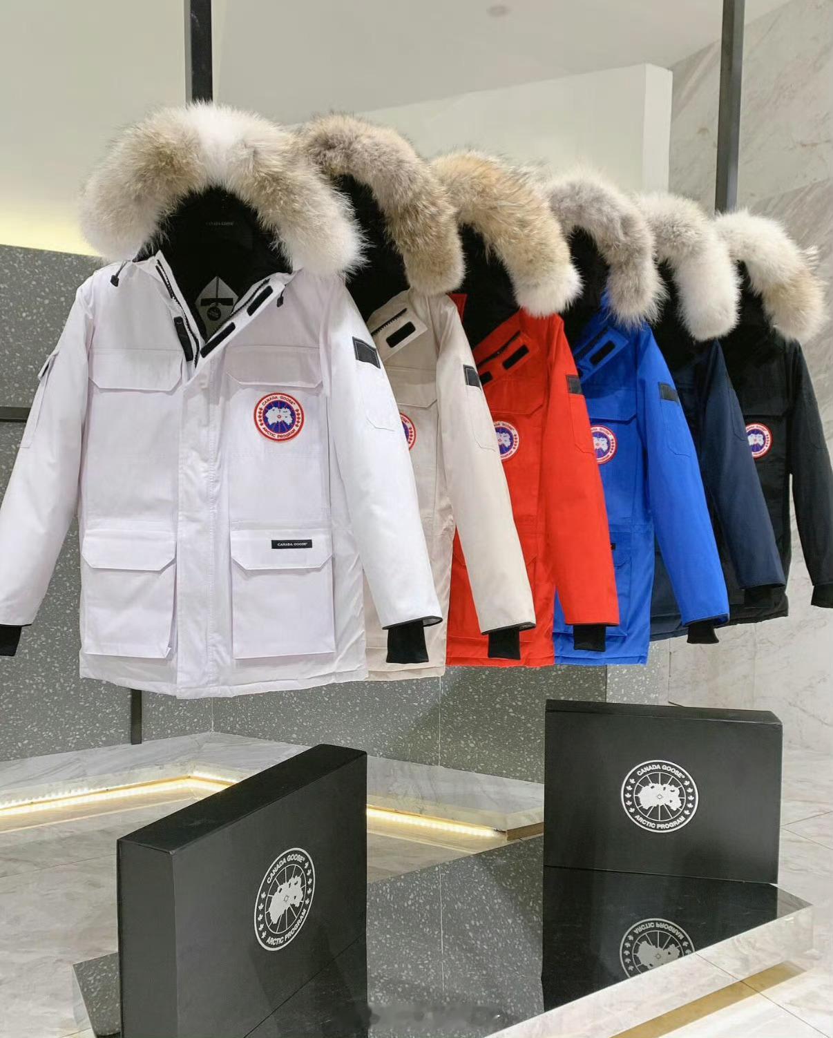 上万元加拿大鹅三亚仅6900元仅？？？？你们都这么有钱了吗