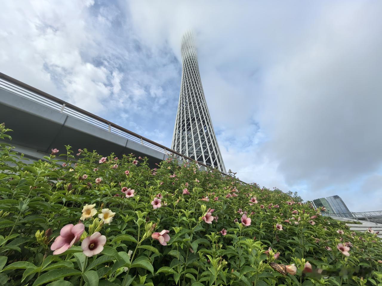 雨后的广州塔
广州塔打卡拍照哪里好?
不同的角度拍广州塔：
这段时间，广州经常大