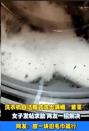 浙江金华的刘女士，按下了洗衣机上那个叫“自洁”的按钮。

运行一个多小时后开盖查