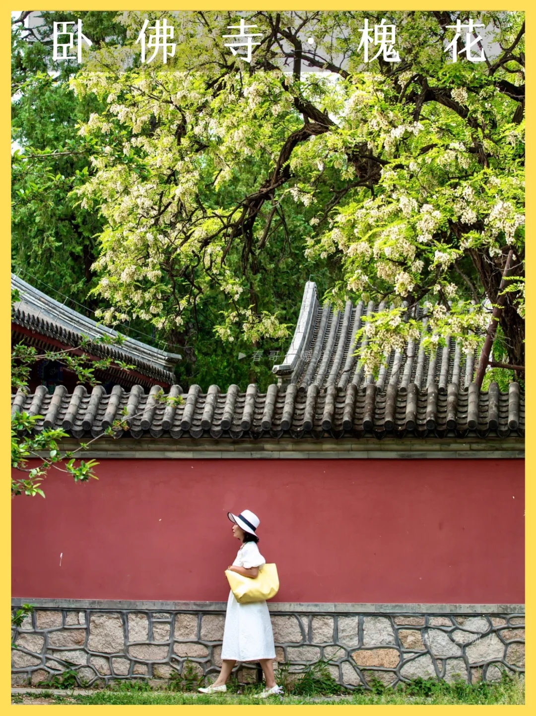 在卧佛寺找到了“寂寞空庭春欲晚”的氛围感