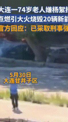 随手烧杨絮闯大祸！20辆新车被烧成空壳
 74岁的王大爷出门散步，见路边堆积了不