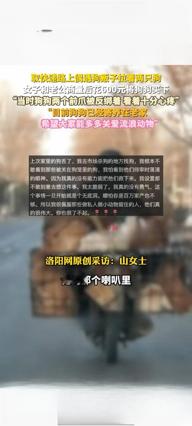 女子取快递途中“截下”待售犬只 爱心解救引发关爱流浪动物共鸣

近日，一段女子路