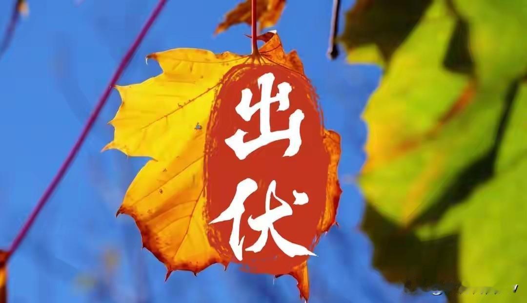 最新出伏时间表来了！老人提醒 2个好消息，1个坏消息，平安出伏！
 
终于熬到末