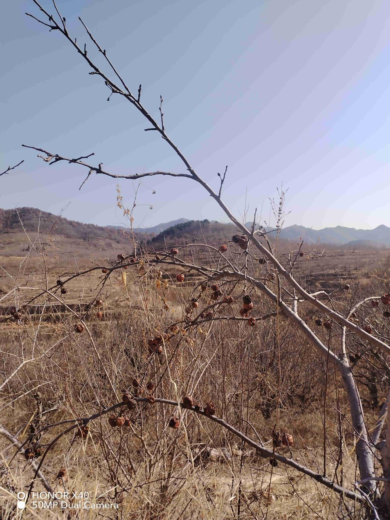 我的今日状态：😁轻松愉快
我这里的天气：☁️阴天

今天气温低，风又大，真的应