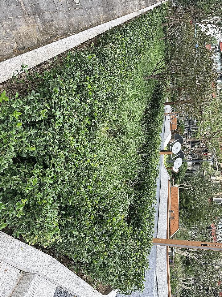 复杂式 和 浪费式 维护管理麻烦式 很快藏污纳垢的方式搞公共绿化空间。最简单 而