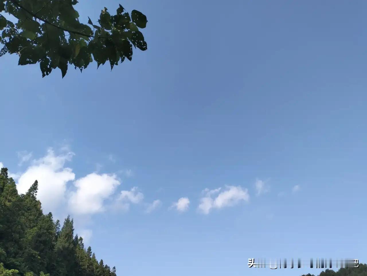 然而，面对如此强劲的台风，我们是否真正做好了准备？在这个信息瞬息万变的时代，台风