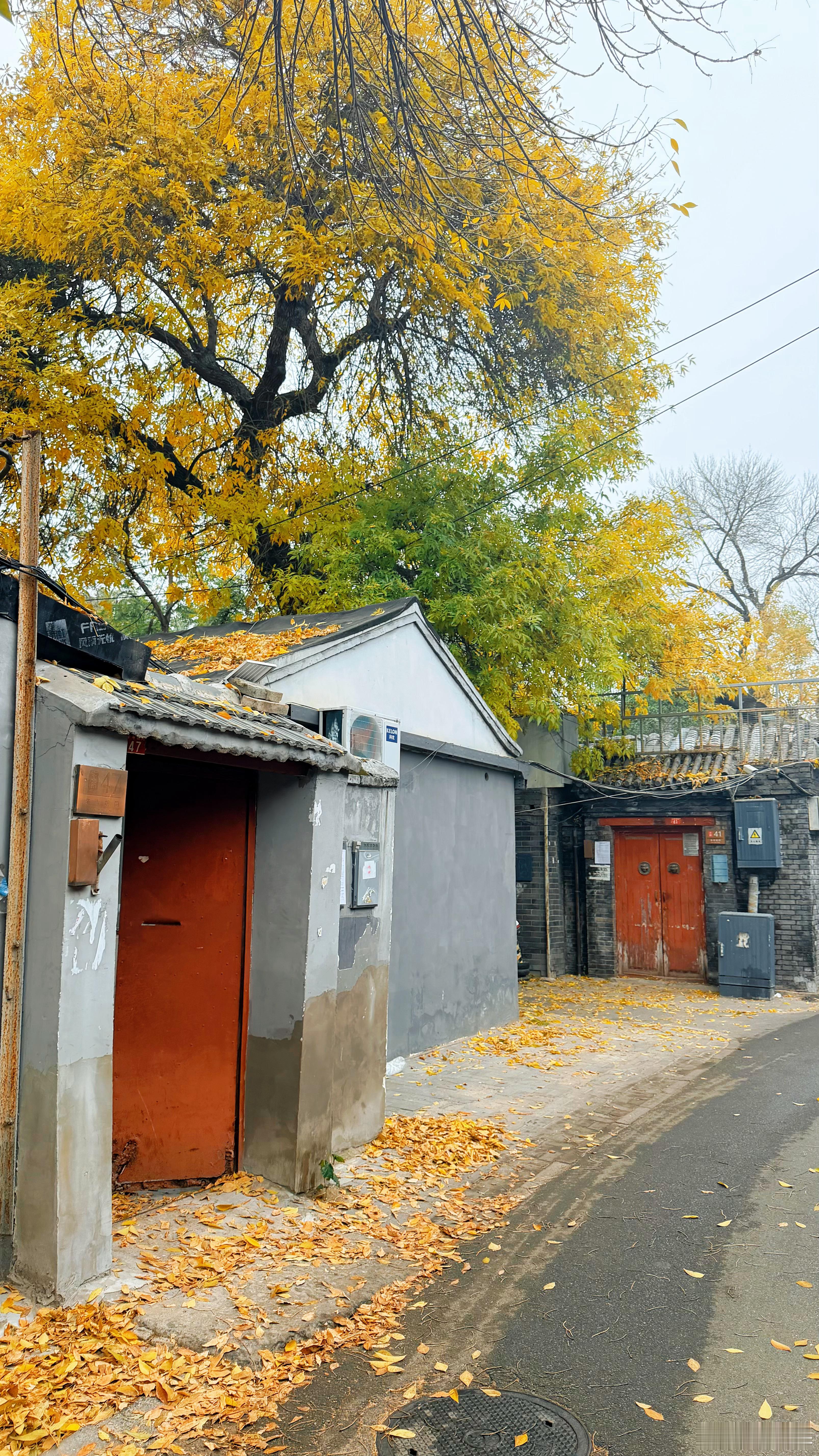 北京秋天怎么这么美这条胡同曾经生活了两年，那会儿还不会拍照！现在再回这条巷子，巷