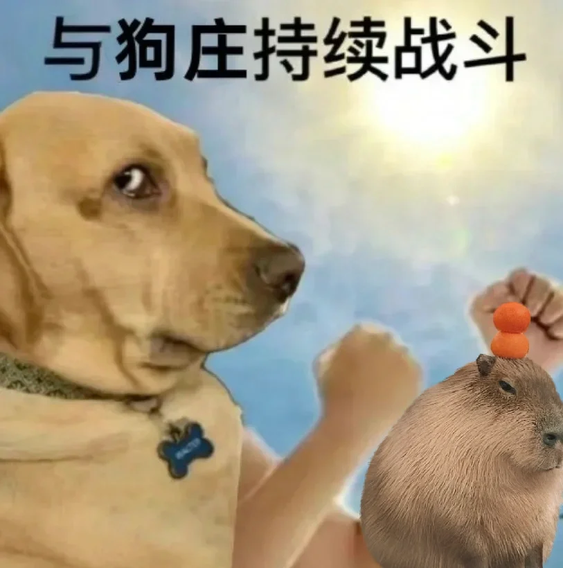 低成本实现财富自由第一弹💰