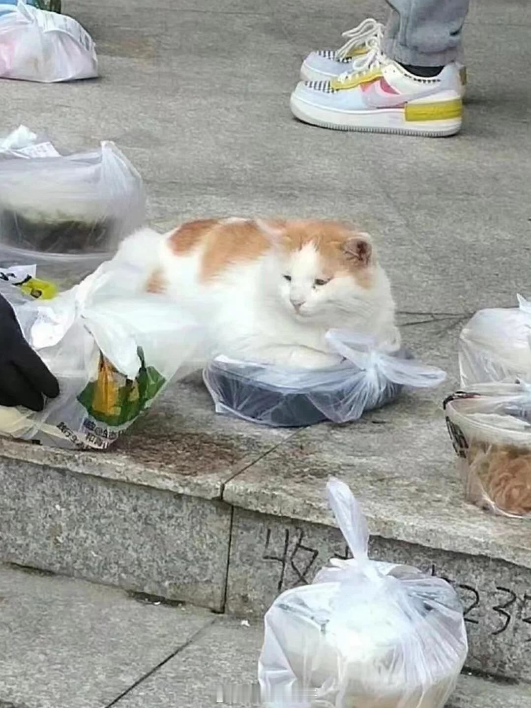 更一组学长美照搞笑校园
