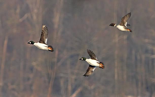 一位心理学研究人员说：
想逆天改命？每天早晨先对镜子里的自己笑一笑，挥挥拳给自己