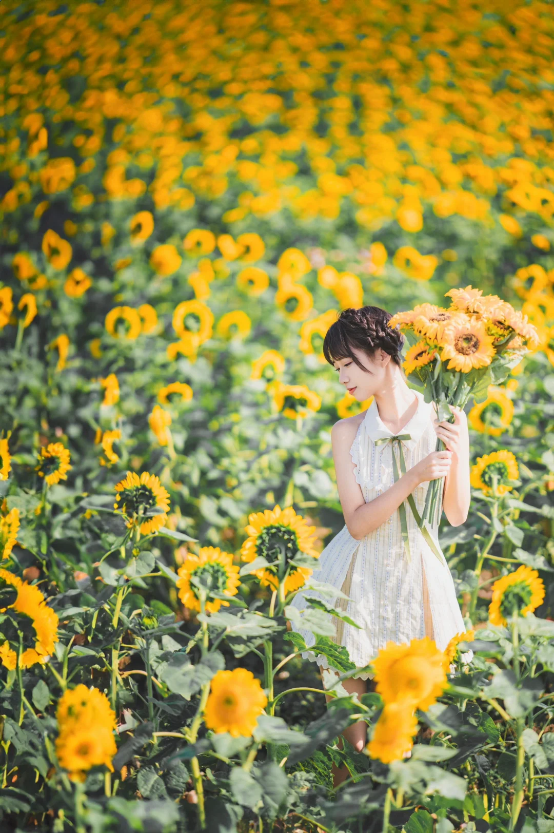 向日葵的礼赞丨在你的心尖上种一束向日葵🌻