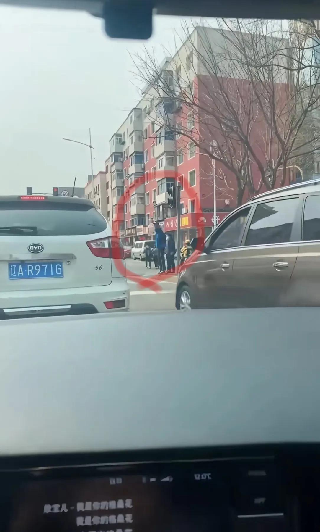 沈阳街头惊现“巨人”！等红灯的时候偶然拍到，第一眼真的吓一跳，还以为是特效。
仔