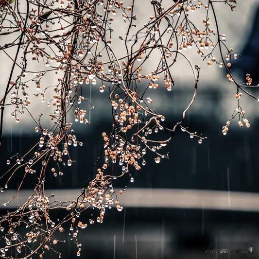上联:细雨催红千树杏
下联:轻风染绿一畦春
上联:仄仄平平平仄仄
下联:平平仄仄