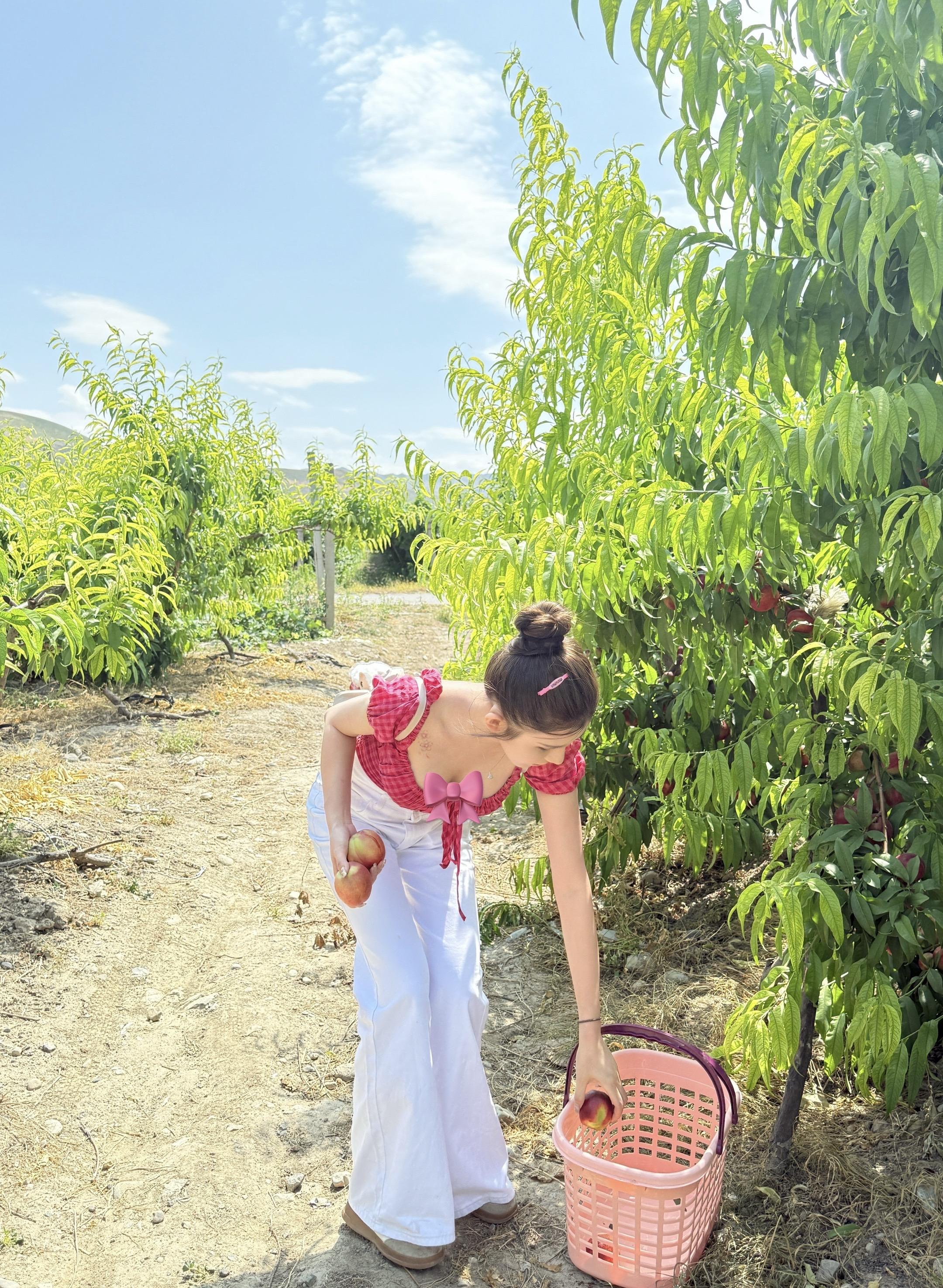 生活不是什么都新鲜 安稳比什么都重要