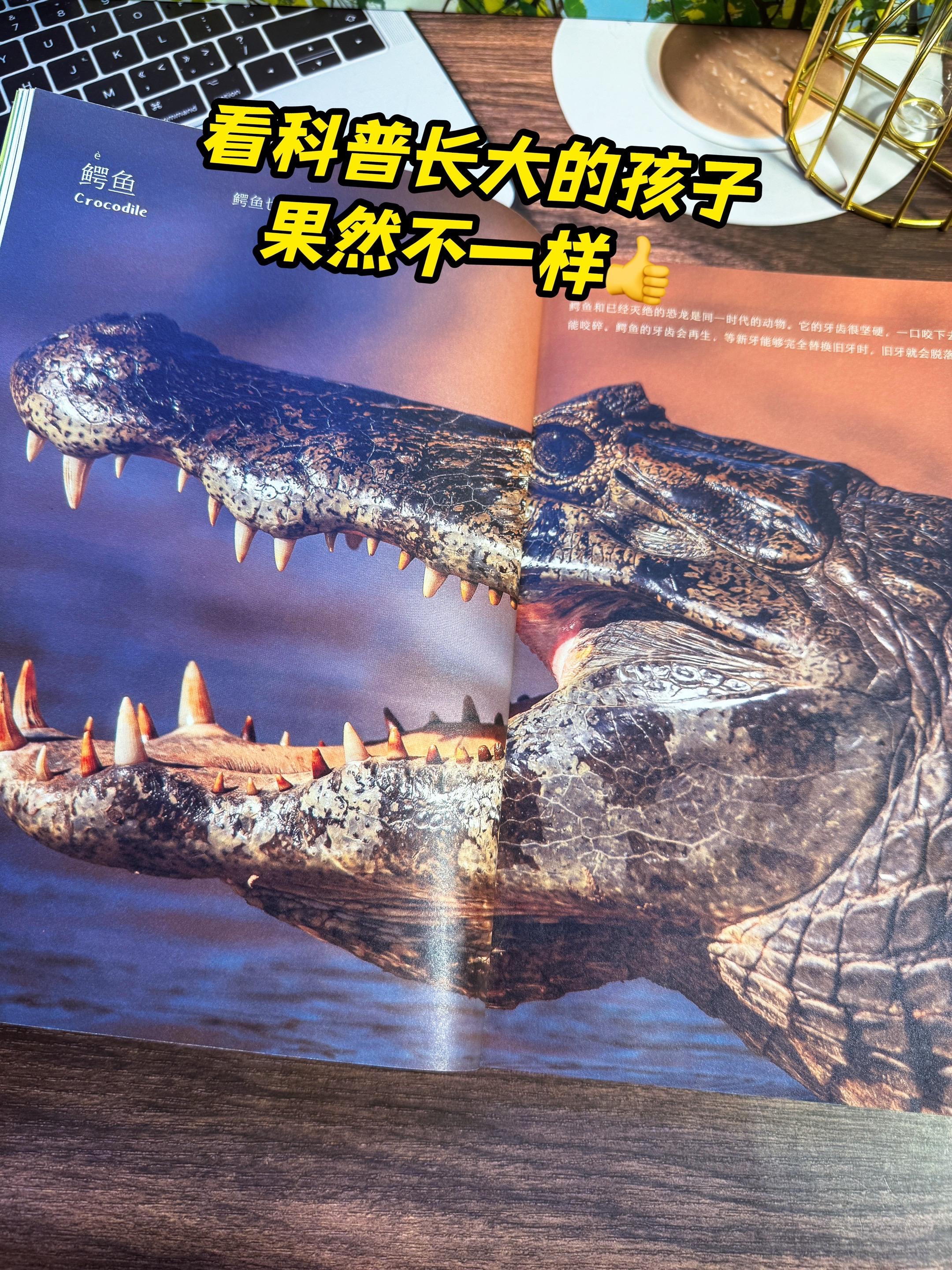 一整本的高清大图，送给孩子的视觉盛宴。谢谢你，让我3岁儿子认识200多...