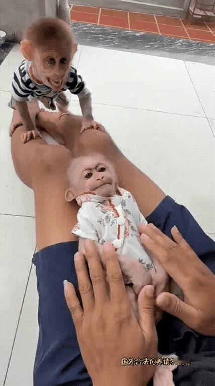 嫉妒心这么强吗？