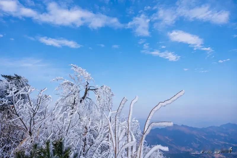 冷和热哪个更难受，这还真不好说。从应对方式看，冷了能多穿衣服，像在冬天裹上厚棉衣