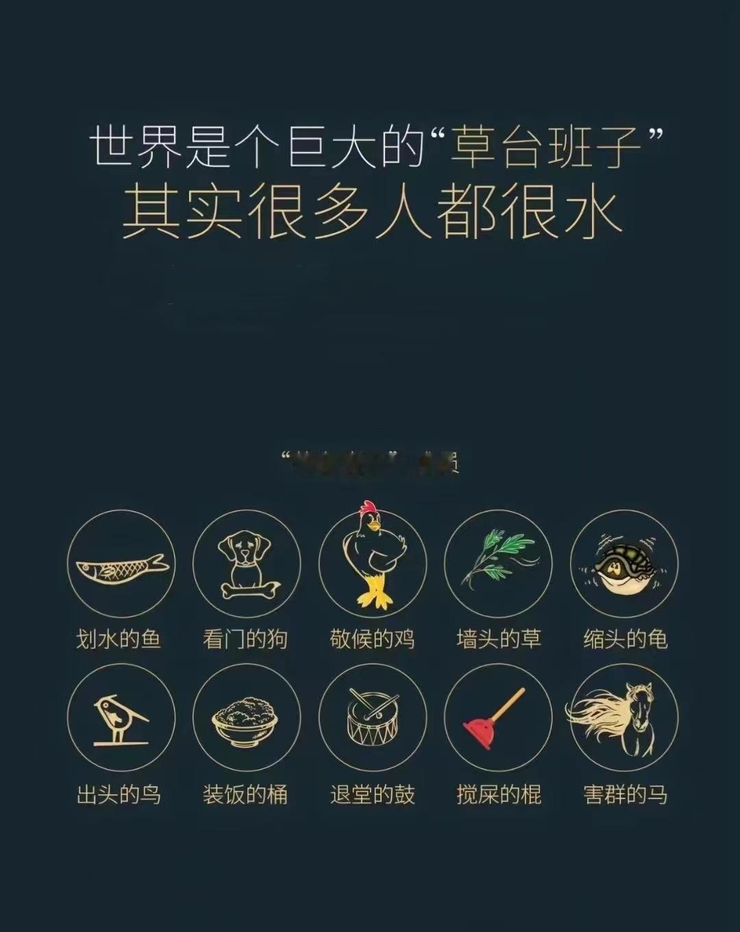你在这个草台班子担任什么角色[吃瓜] ​​​