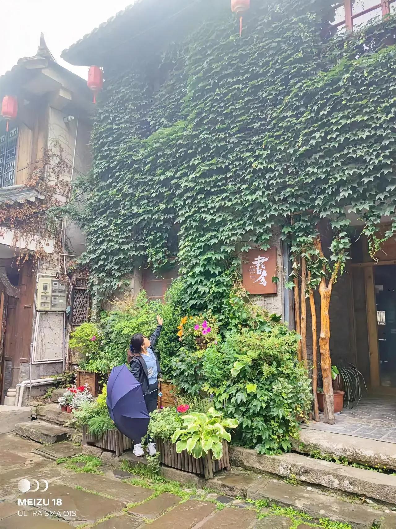 #秋日生活打卡季#今日，小雨，赋诗一首。
请欣赏[奸笑]

《秋·雨》
秋雨绵绵