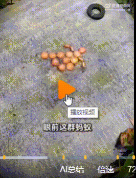 蚂蚁：你礼貌吗[发怒]？这是人干的事儿？

唉，看着这群蚂蚁被高维生物做局下套…