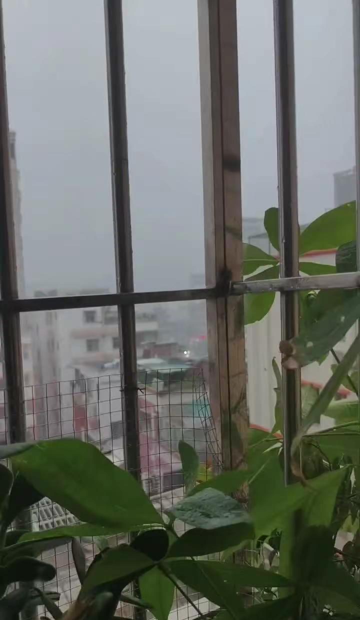 广西加油！绵薄之力，只愿广西的老乡都平平安安！一切安好！风雨无情，人间有爱。愿我
