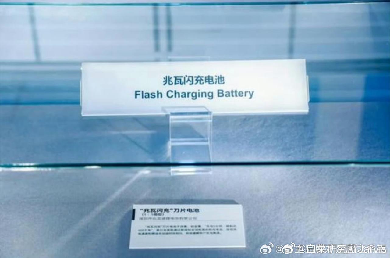 国博展出罢了，你拿诺奖了嘛，你得到洋人和老道的认可了嘛汽场全开比亚迪