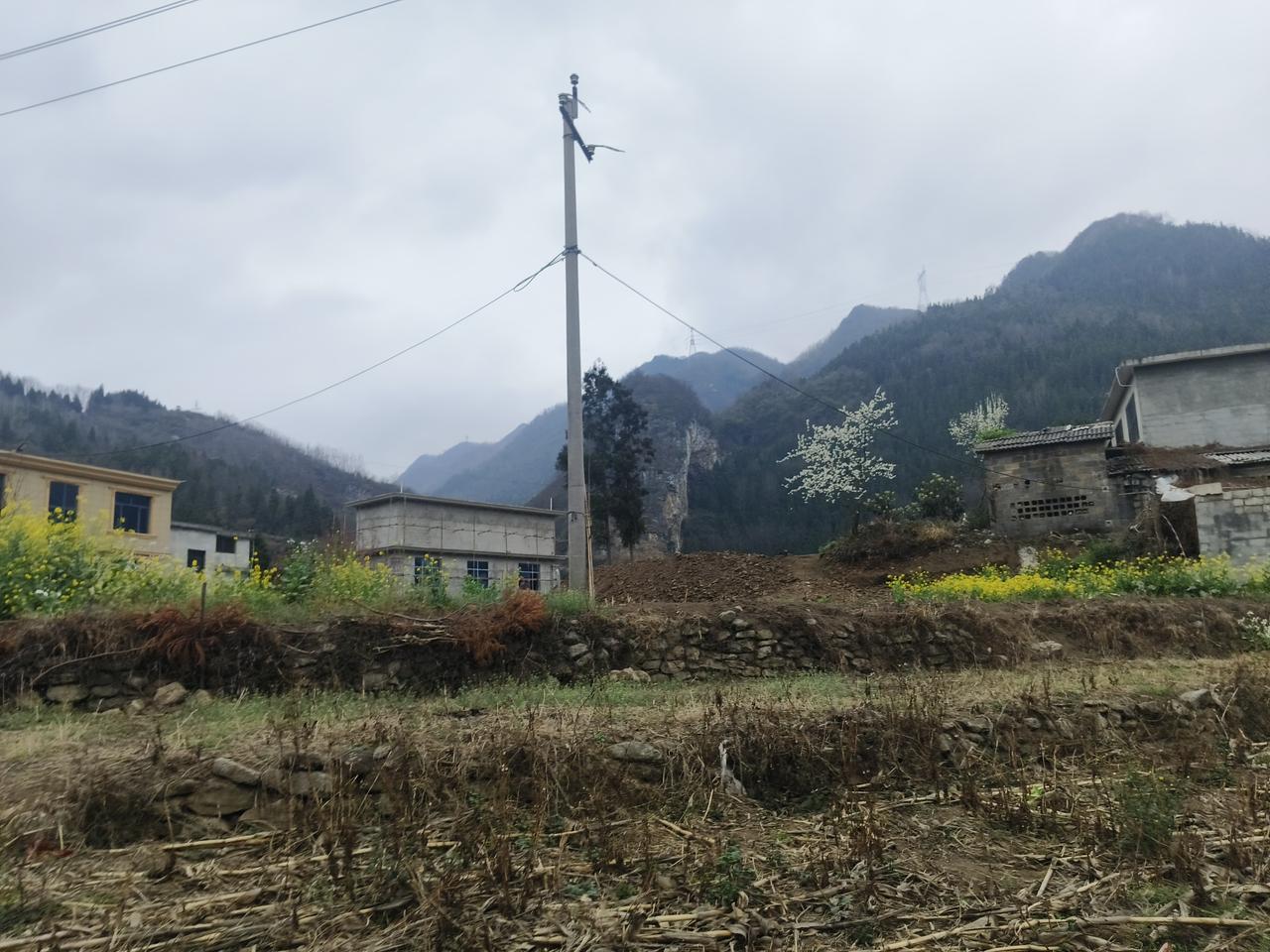 泽连斯基:
欧盟要么继续支援乌克兰，要么乌投降，俄清算欧盟
特朗普:我援武器，欧