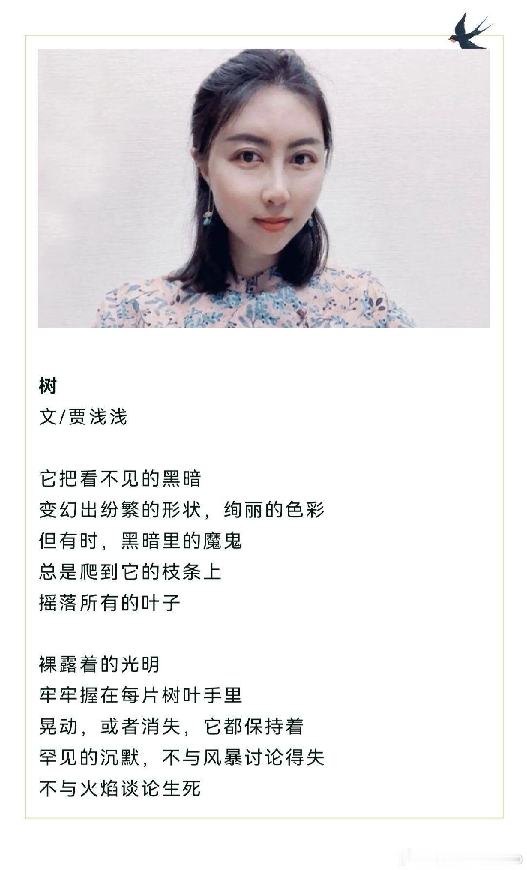 读贾浅浅的诗《树》 树 文/贾浅浅 它把看不见的黑暗 变幻出纷繁的形状，绚丽的色