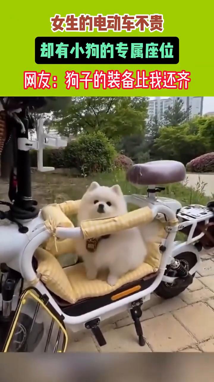 女生的电动车不贵，却有小狗的专属座位。网友：狗子的装备比我还齐。
4月14日，河