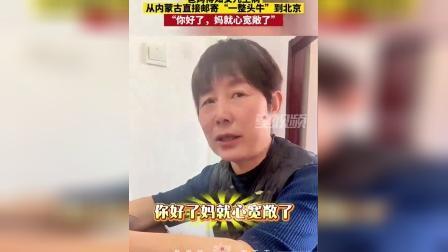 3月13日，北京的常女士收到了来自内蒙古父母的特殊礼物。一整头处理妥当的牛跨越千