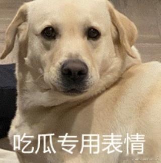浪姐直播 假唱谁假唱[挖鼻][挖鼻][挖鼻][吃瓜][吃瓜][吃瓜] ​​​