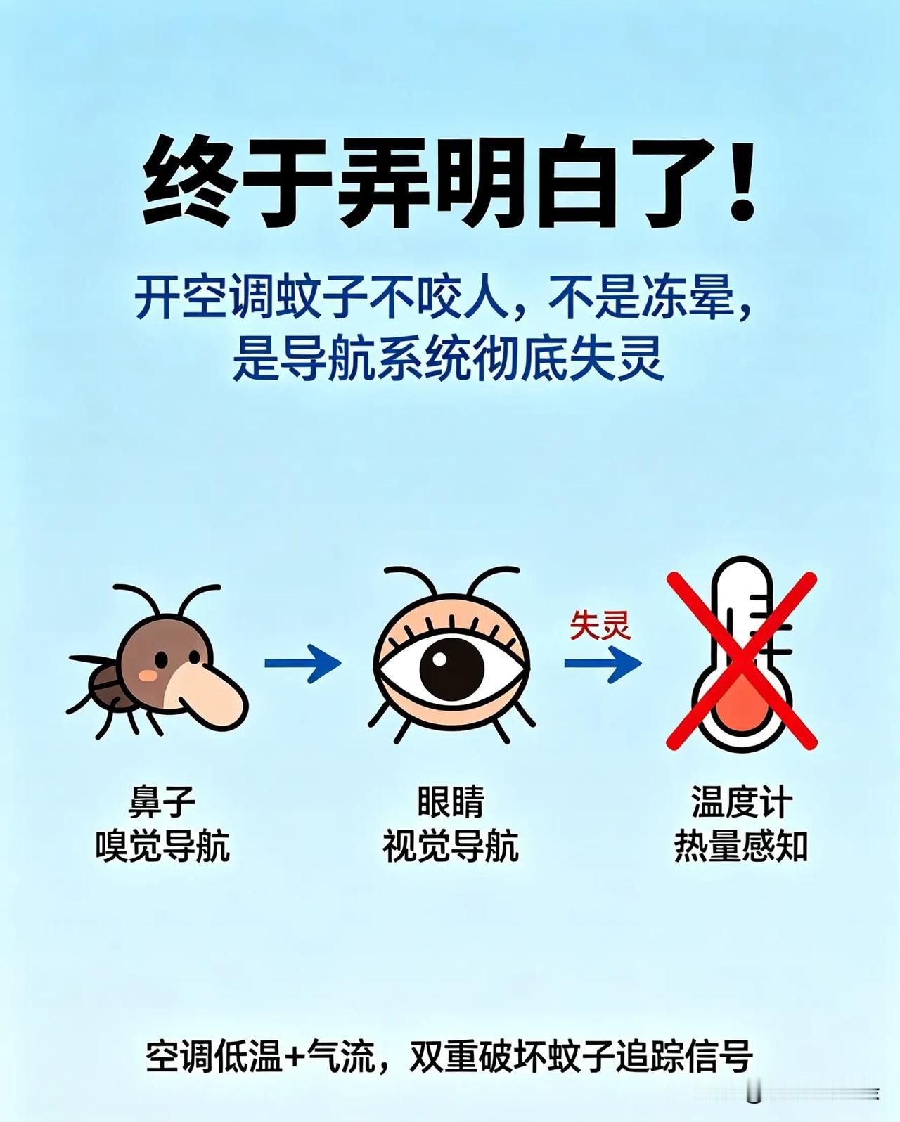 终于弄明白了：开空调蚊子不咬人，不是冻晕，是导航系统彻底失灵。

不少人夏天开空