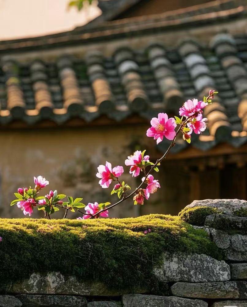 目标不同，人生的活法天差地别
 
我们这一生，走得累不累，苦不苦，往往不取决于拥