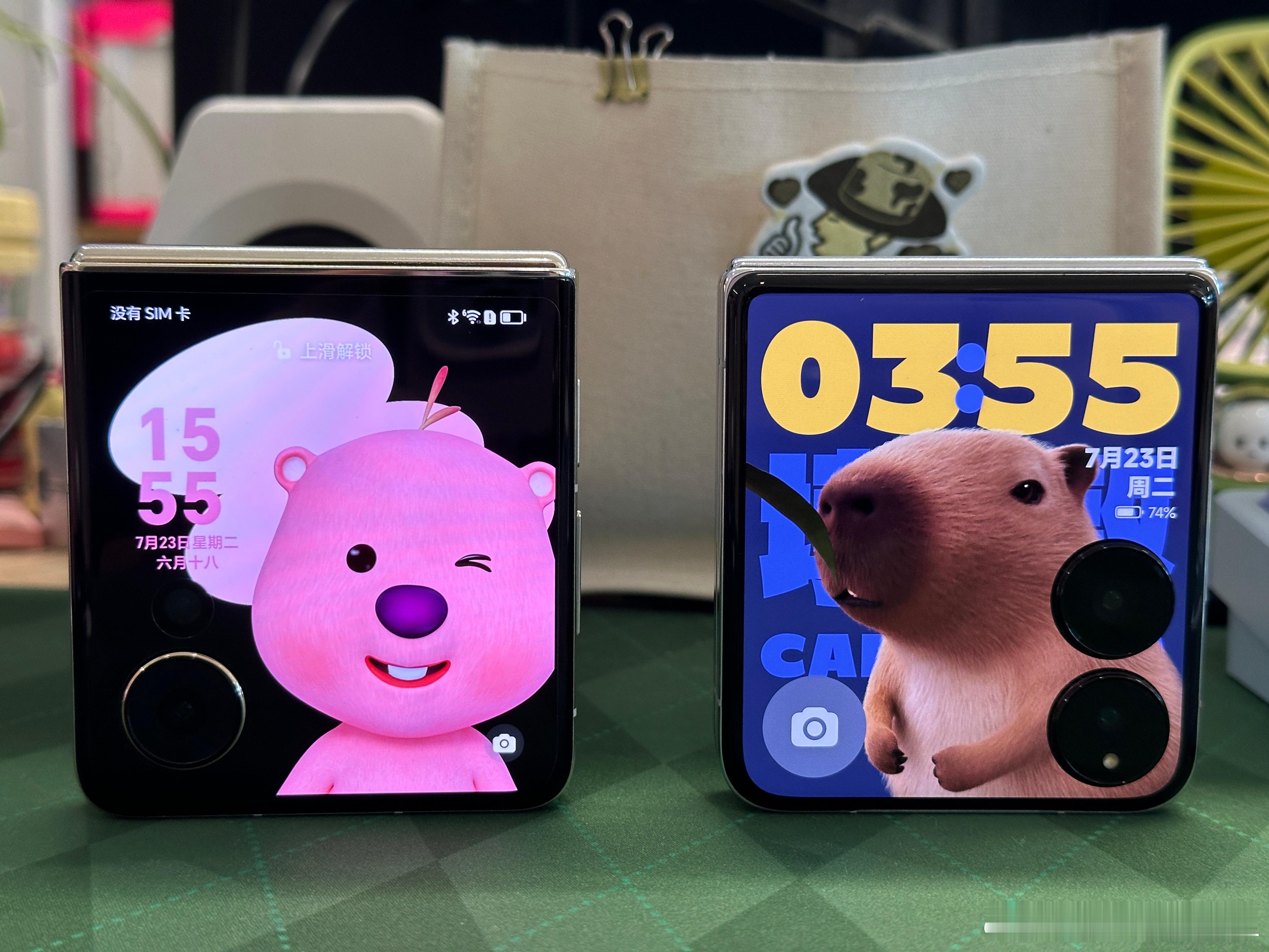 loopy和卡皮巴拉两大网红，大家喜欢哪个[喵喵] ​​​