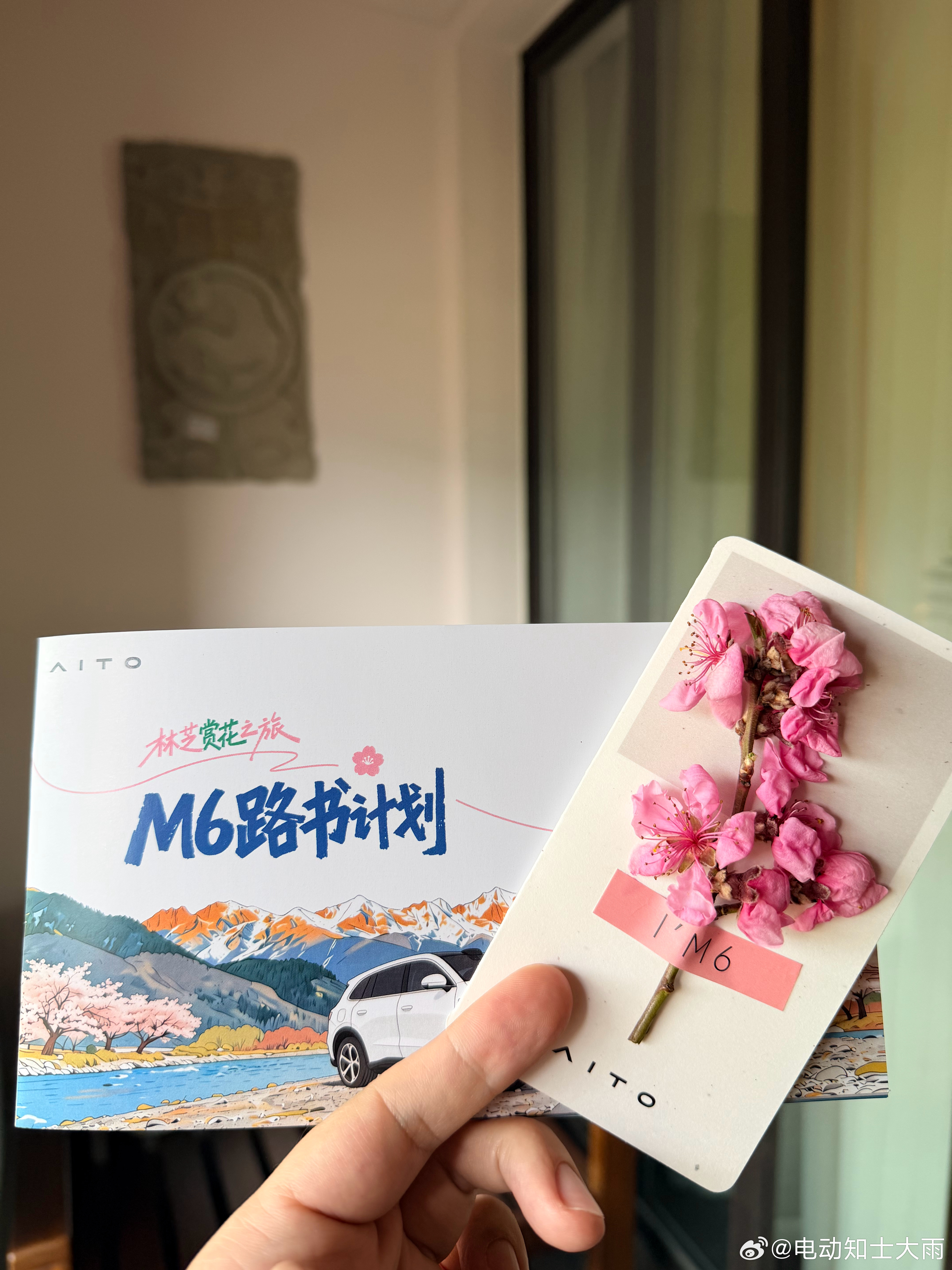 来林芝试试问界M6。 