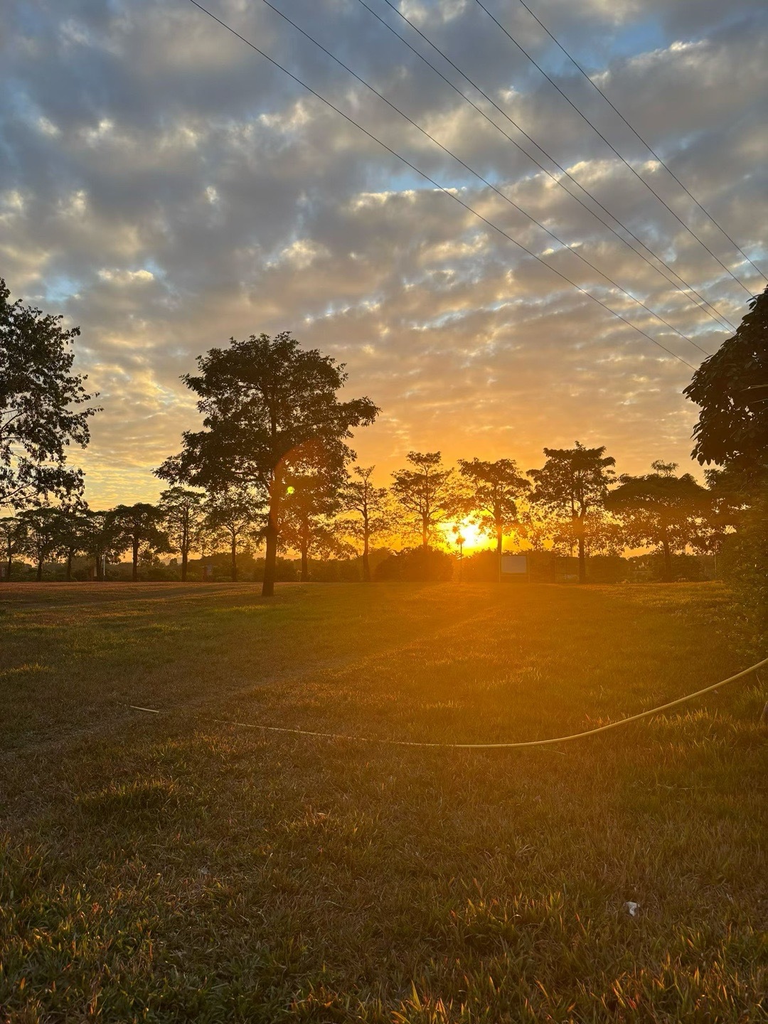 你问我为什么顽固而专一 