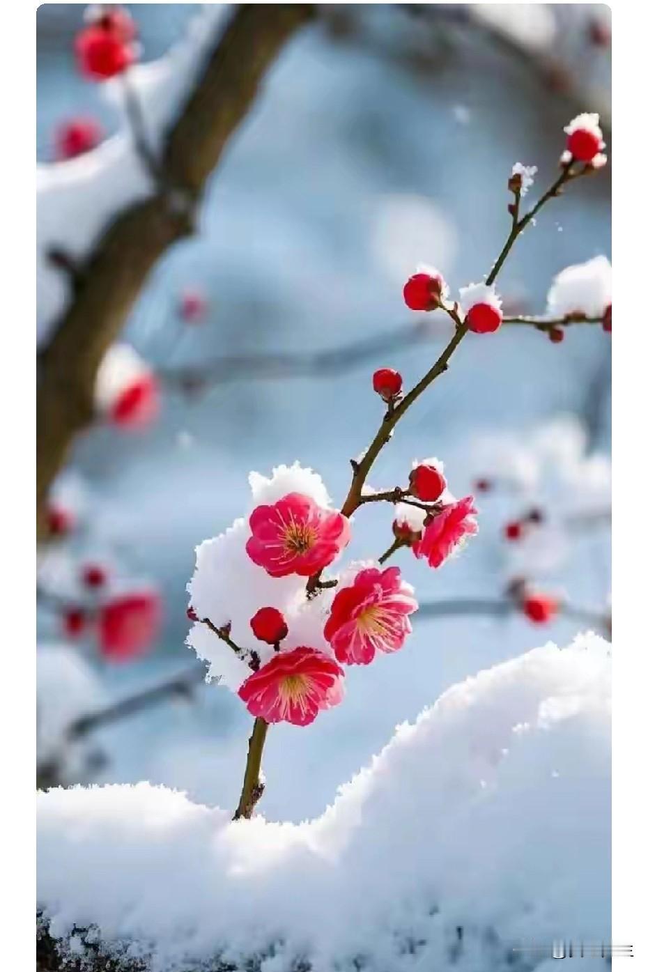 心脑血管疾病遗传，特别是脑溢血遗传特别严重。
我们老家有一个姓杜的人家。听老辈人