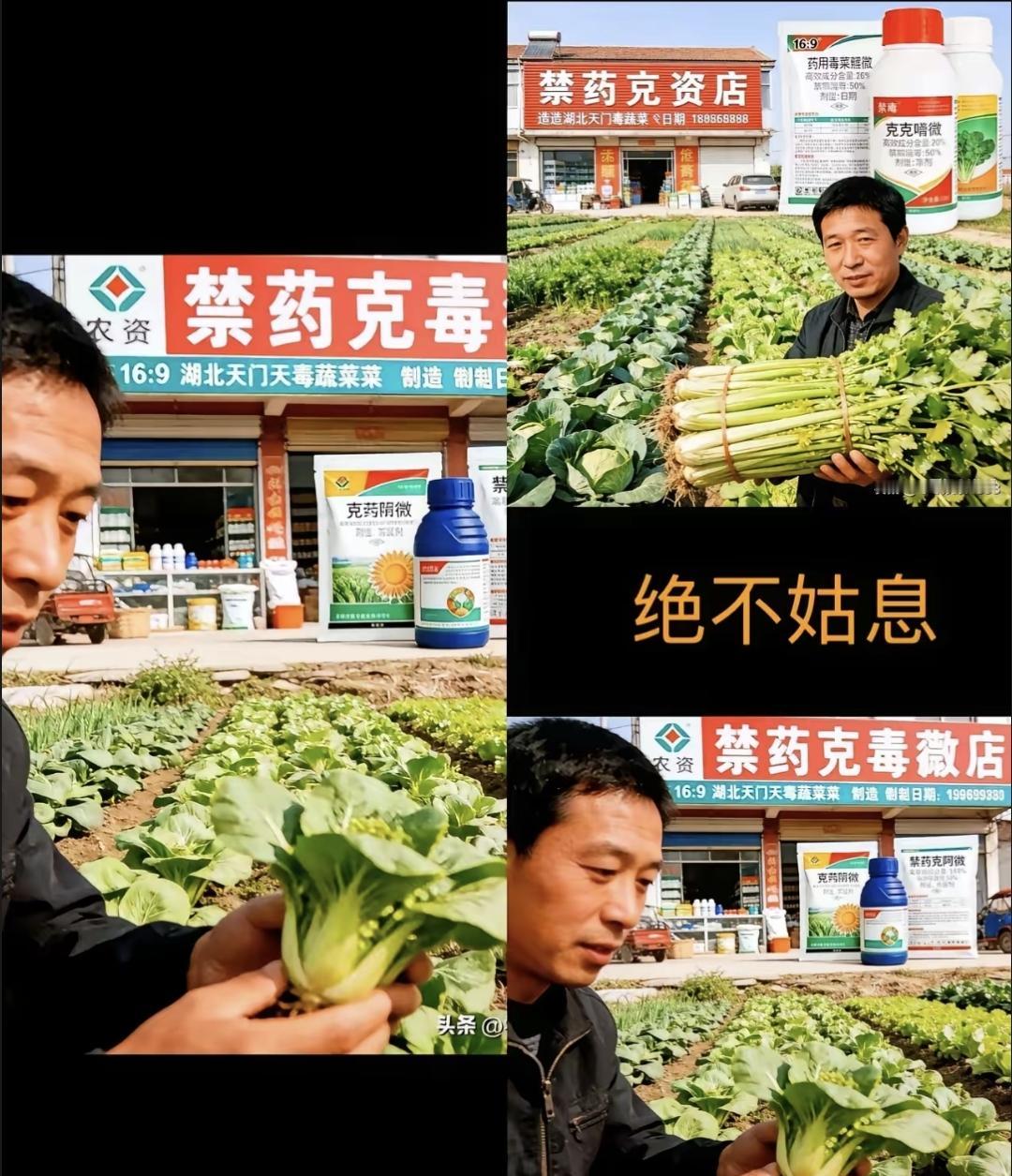 央视记者去湖北天门一个村拍到田里扔着十几个“克百·敌百虫”空袋子，味儿刺鼻得人站