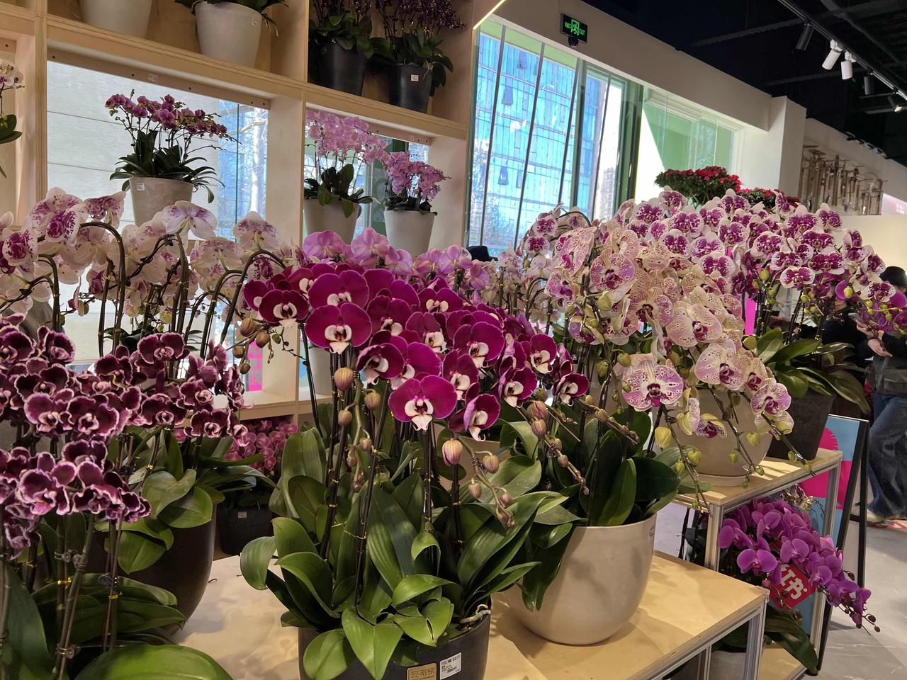 过年打扫家找小时工值不值？
        如果上百平的小家，300-500元，