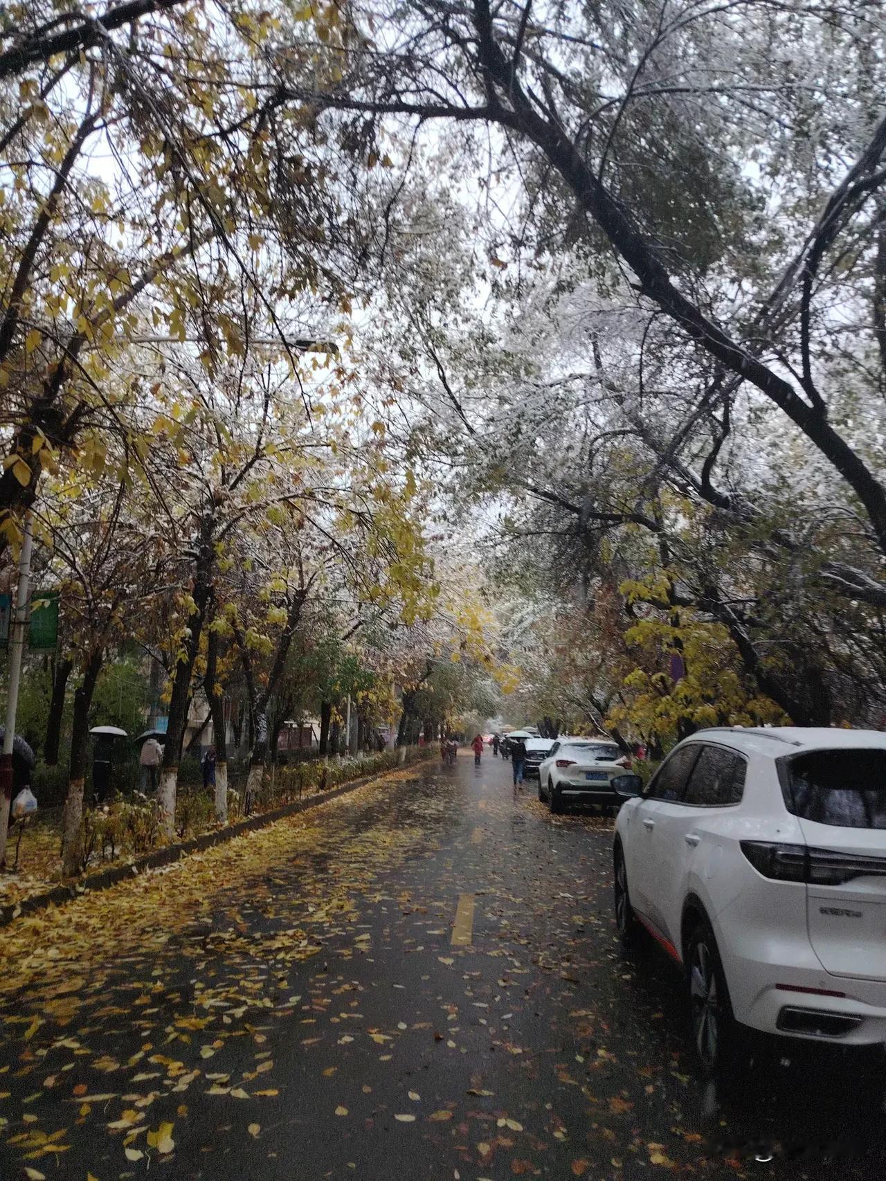 2025年的第一场雪，比以往来的更早一些。在南方还在开空调的季节，乌鲁木齐却下了
