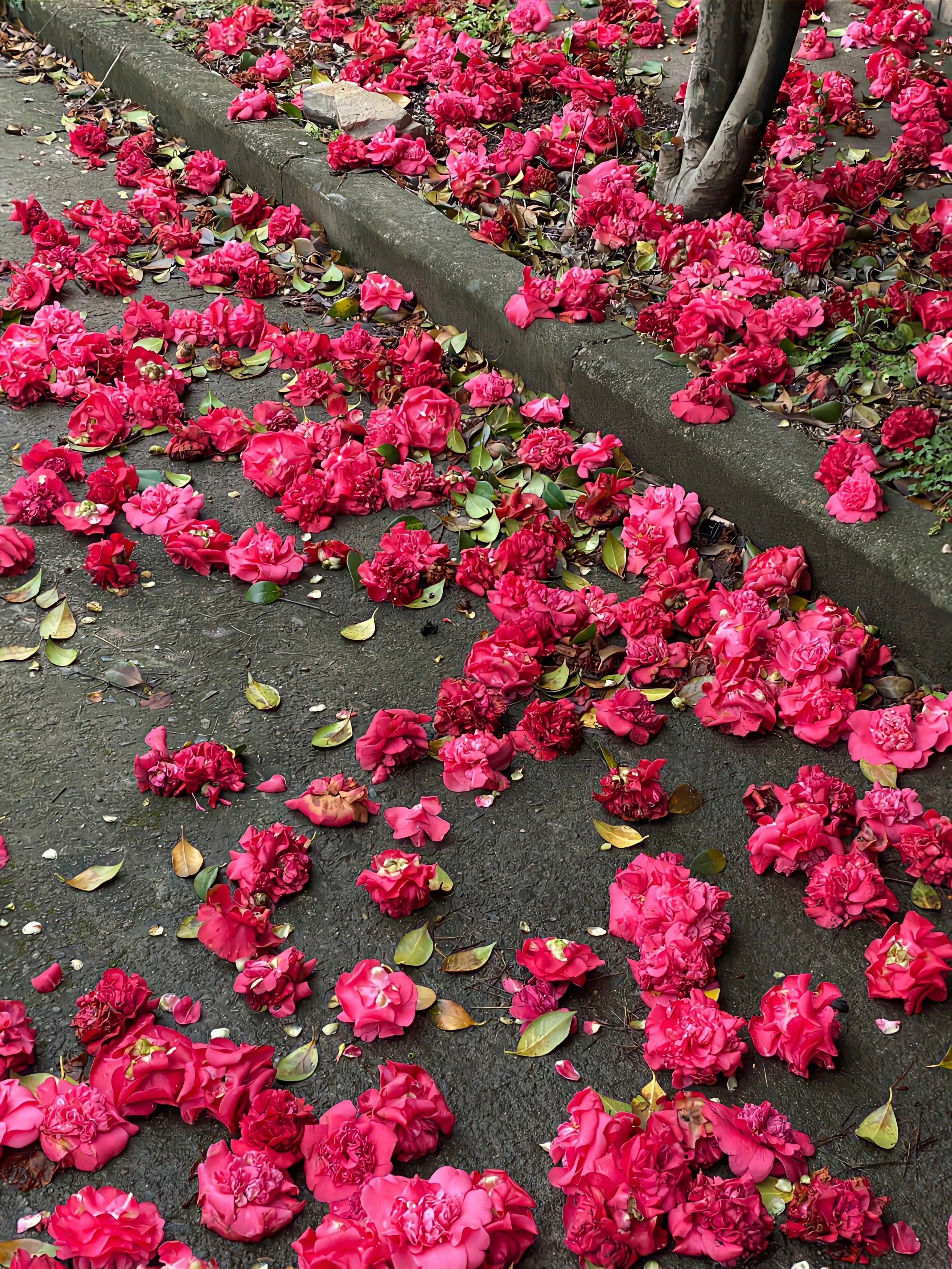 愿日子清净，抬头皆是温柔与坦荡。 