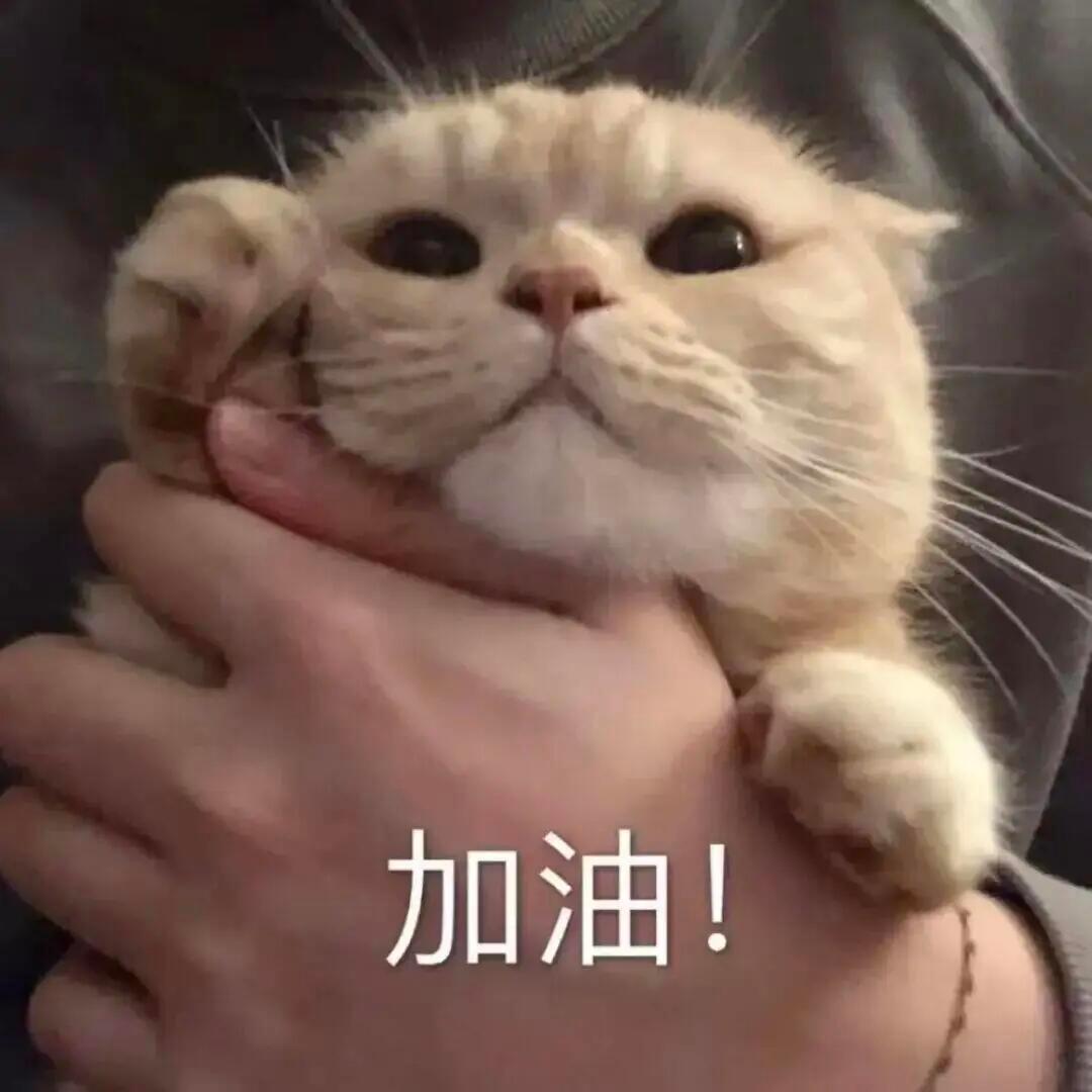 wxy 朋友们还有半小时没有发帖的快发一下 like也捞一捞